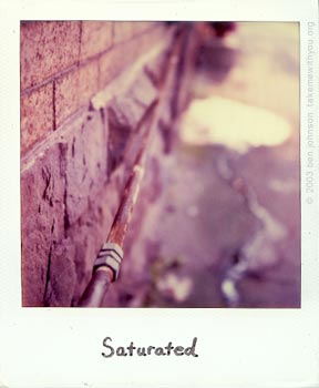 polaroid