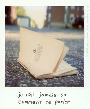 polaroid