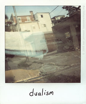 polaroid