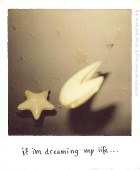polaroid