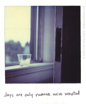polaroid