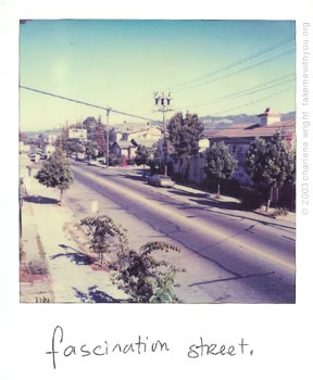 polaroid