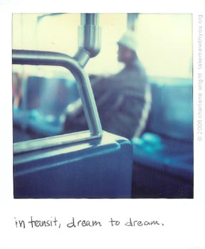 polaroid
