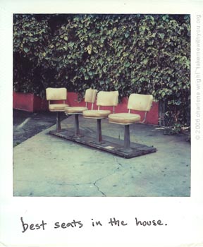 polaroid