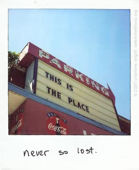 polaroid